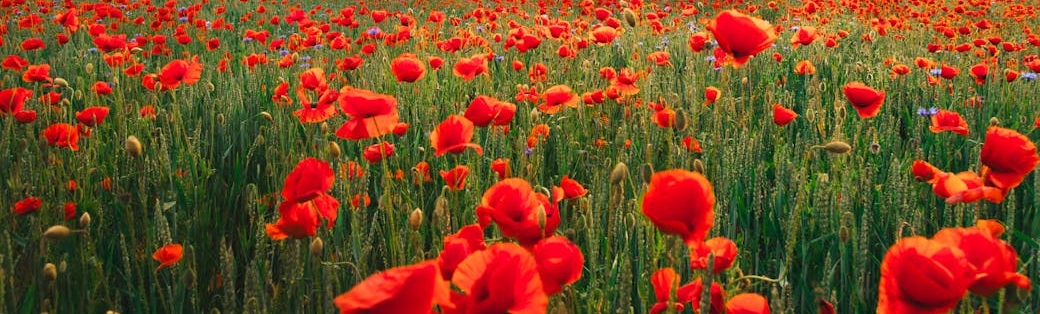 2026 04 18 Pricinggg