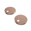 Bronze Seat Cover Hinges.png
