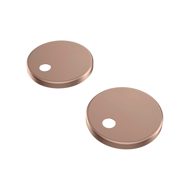 Bronze Seat Cover Hinges.png