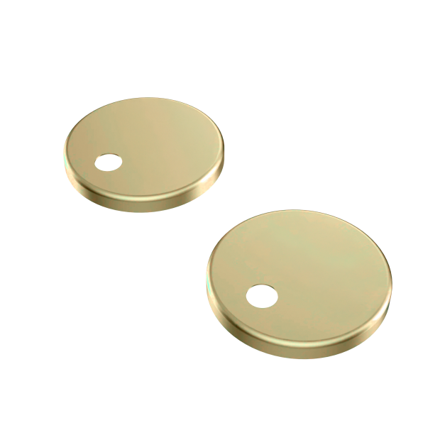 Gold Seat Cover Hinges.png